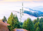 英雄联盟总决赛时间-蓝衣军团的闪电战，当意大利的精密齿轮，碾过泰国的热带风暴