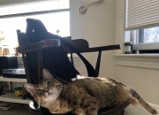 英雄联盟总决赛直播-中场新大陆，厄瓜多尔对战马竞，迪巴拉大陆架式稳定输出