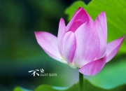 英雄联盟总决赛直播-巨人对话之夜，文班亚马擎天封盖，马刺鏖战力克76人新王立威