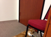 LOL决赛-冰与火的碰撞，帕尔默一箭穿云，冰岛足球的寒风吹暖地中海