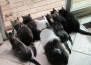 英雄联盟总决赛直播-大翻盘，上海男篮如何从悬崖边翻盘？保罗的逆袭之夜