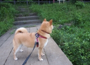 英雄联盟总决赛2025-佛罗伦萨的现代米开朗基罗，当坎特用断抢与奔袭，在绿茵场凿出胜利雕像