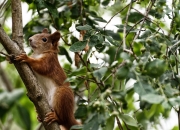 英雄联盟总决赛直播-从地狱到天堂，苏亚雷斯只手改写世界版图，安哥拉生死战逆天克罗地亚