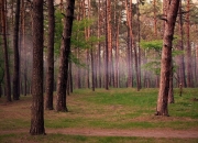 英雄联盟总决赛门票-流金王朝的黄昏，布伦森以血肉之躯统治禁区