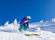 英雄联盟总决赛-米切尔狂轰42分独挑大梁 深圳队主场完胜步行者展团队实力