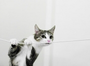 英雄联盟总决赛赛程-火药味里的生存游戏，当地狱之火烧穿高原，热火用窒息感定义总决赛唯一剧本