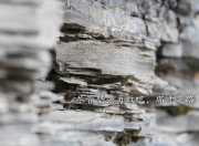 -节奏战争，罗德里式的掌控与威尔士式的颠覆—秘鲁爆冷背后的中场博弈