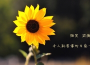 -绿茵狂想曲，当美加墨世界杯的聚光灯投向篮球，尼克斯用一场统治级表演击碎湖人