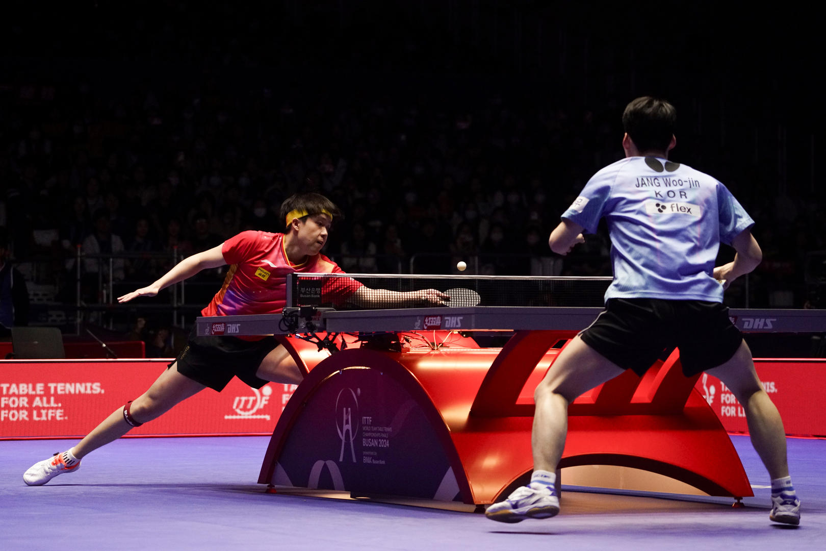 法国队逆转日本队，马龙带队取胜