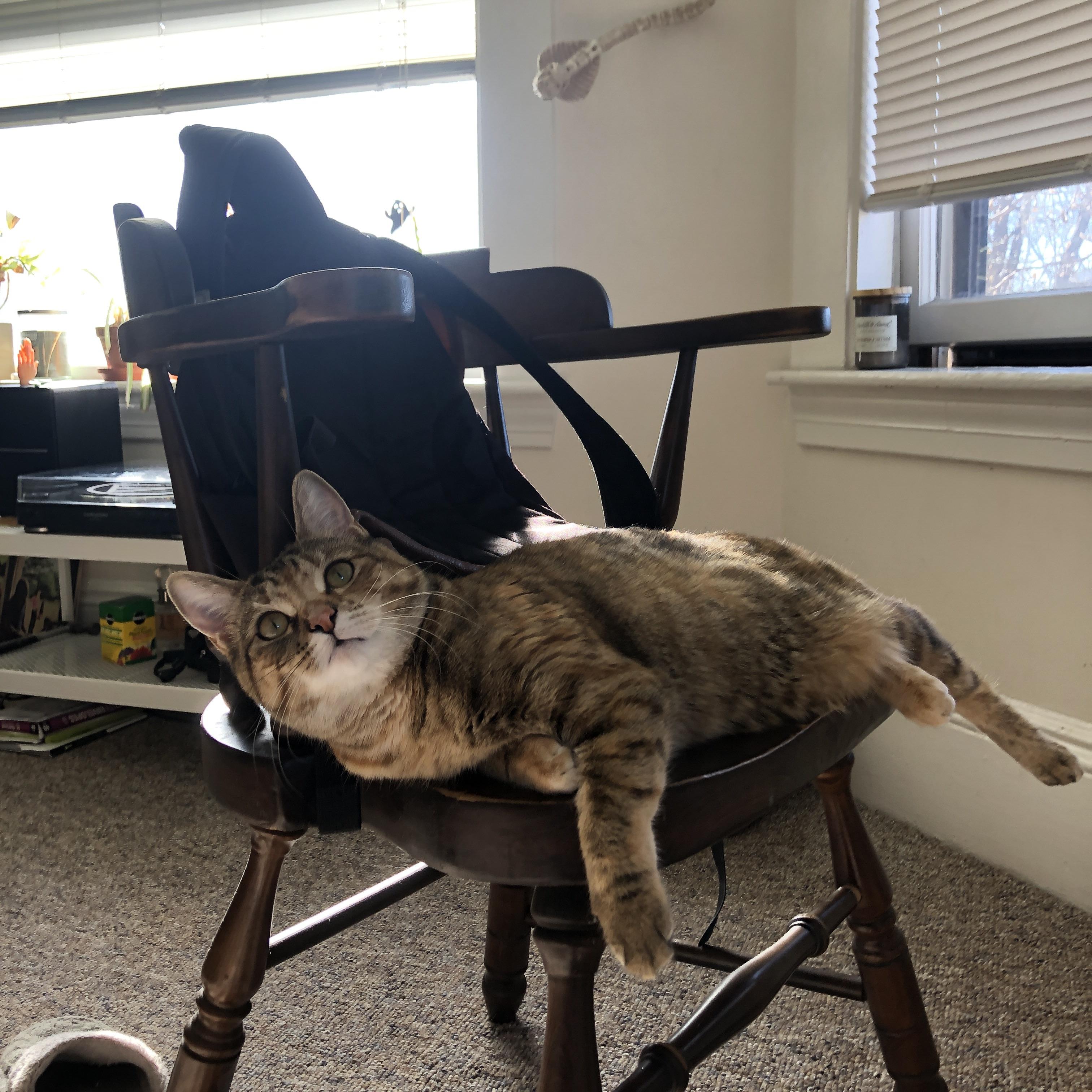 中场新大陆，厄瓜多尔对战马竞，迪巴拉大陆架式稳定输出