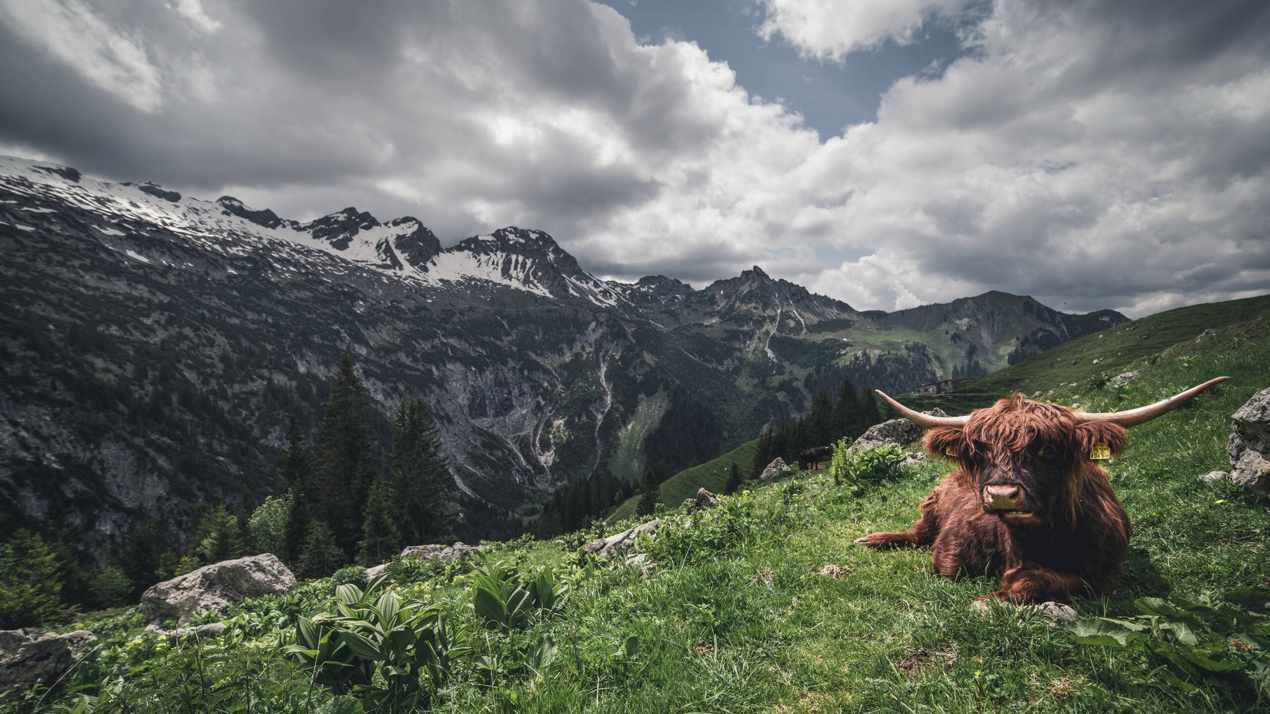 孔德一锤定音，哥斯达黎加友谊赛掀翻切尔西，拉丁足球的冰与火之歌