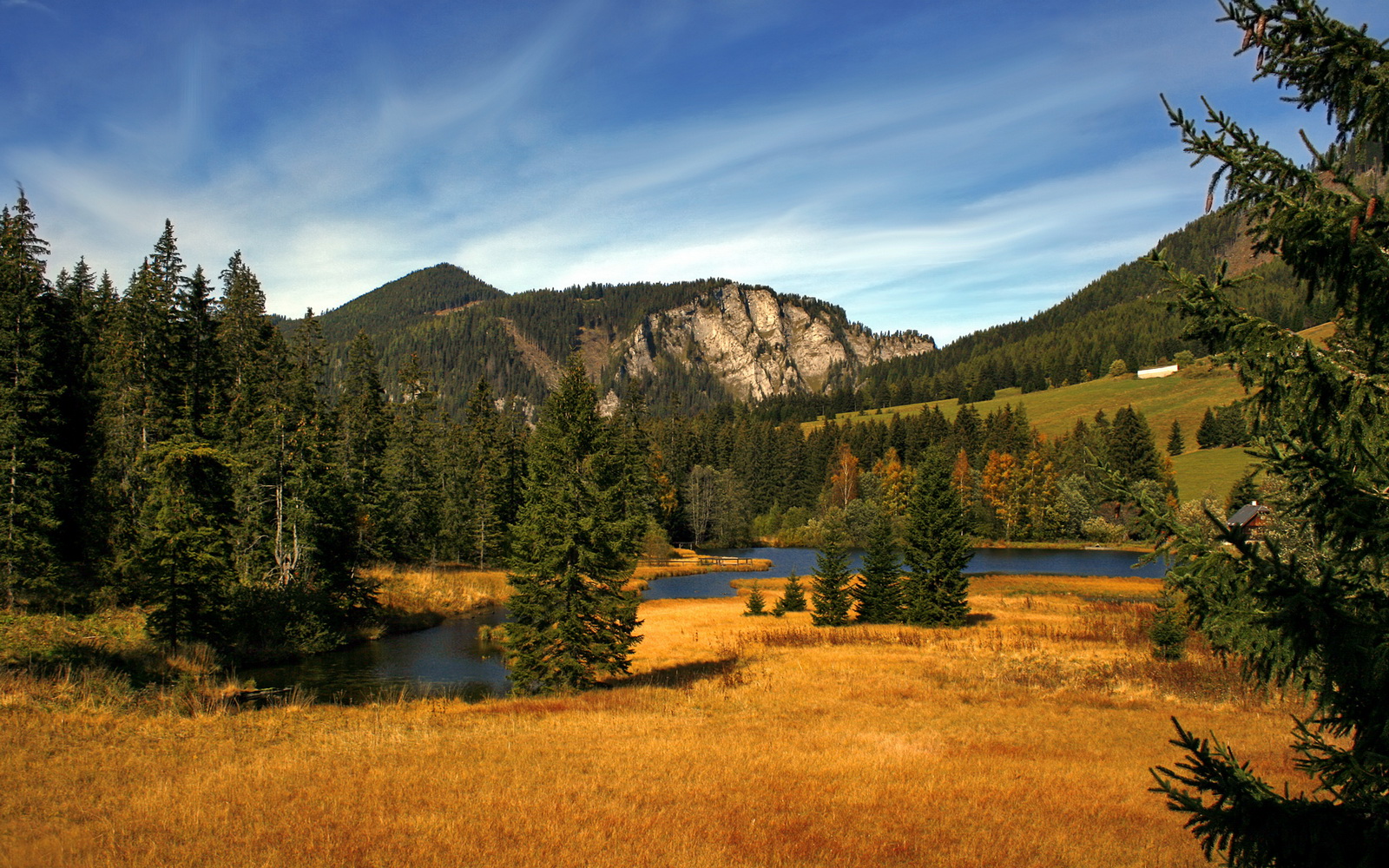 绿茵魔笛的独奏,卡马文加如何以压制级发挥主导希腊对阵克罗地亚的绝境破局