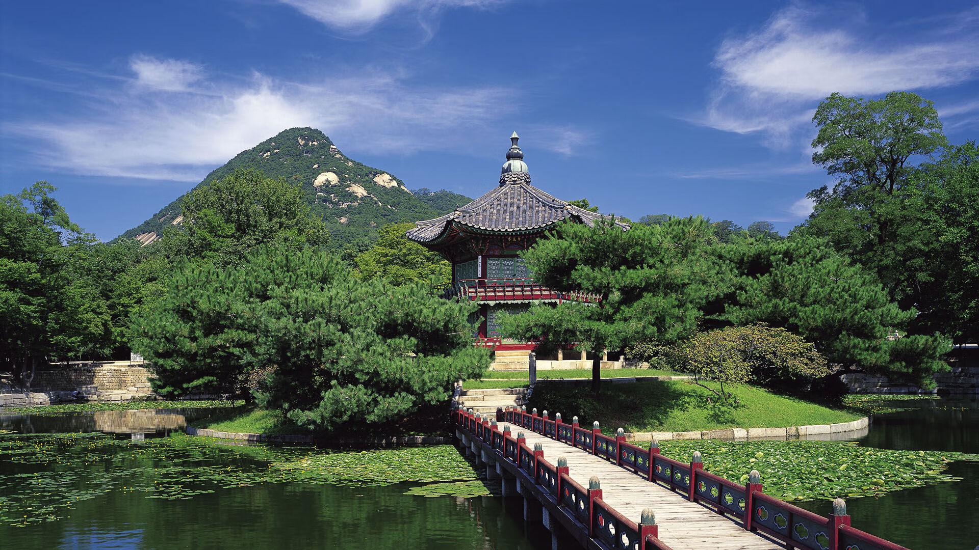 猛龙强行绞杀深圳，范弗利特末节封神