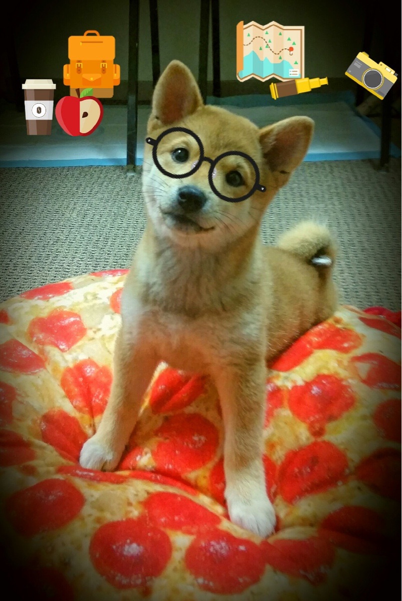 跨界投射，当总决赛哨声响起，苏亚雷斯式的大场面基因在篮球场上重现