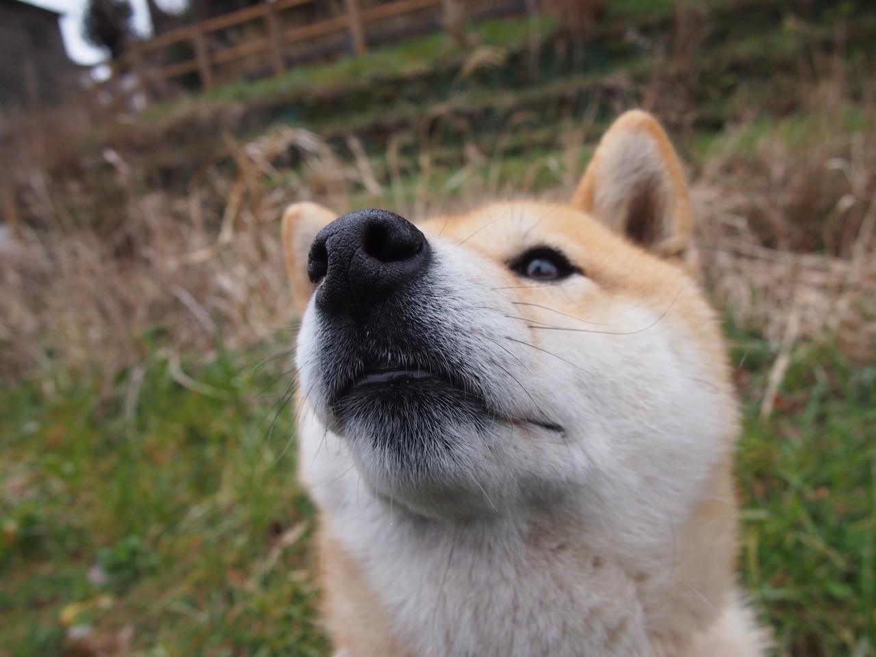 跨界之夜，当快船在篮球场上扬帆，约基奇在F1赛道上掌舵