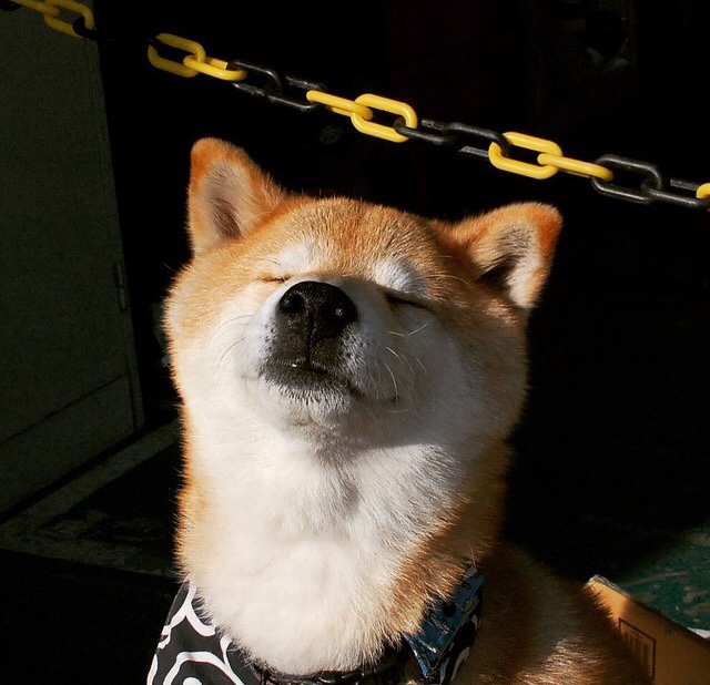 城市画布上的双星，尼斯法甲奇迹与F1街道上的绝对统治