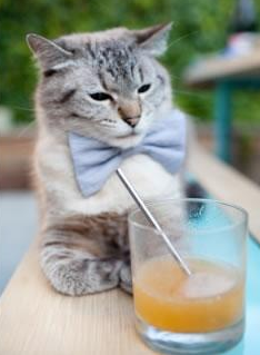 年度焦点之战，波兰惊险击败美国，赛场激战引爆全球目光