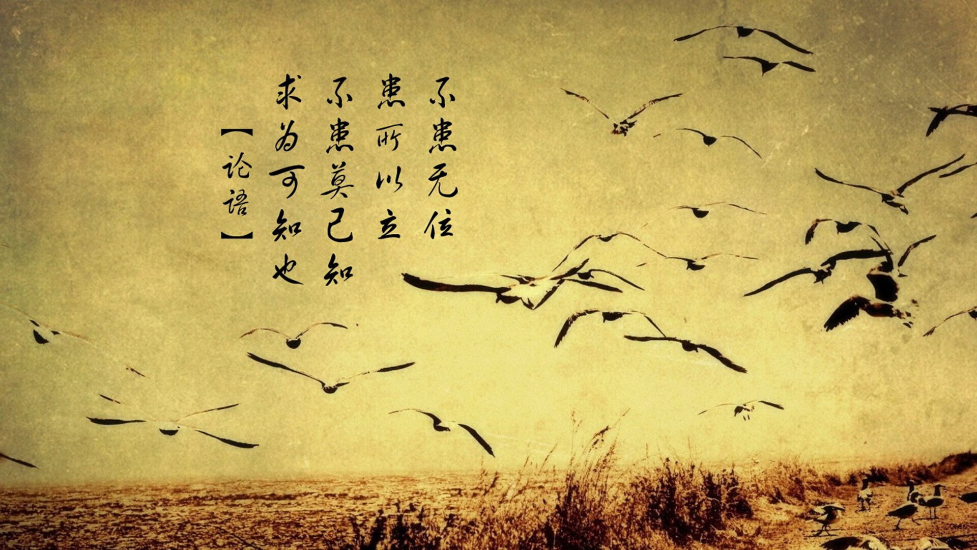 跨界辉煌，澳大利亚体育压制伊朗，若日尼奥F1揭幕战一骑绝尘