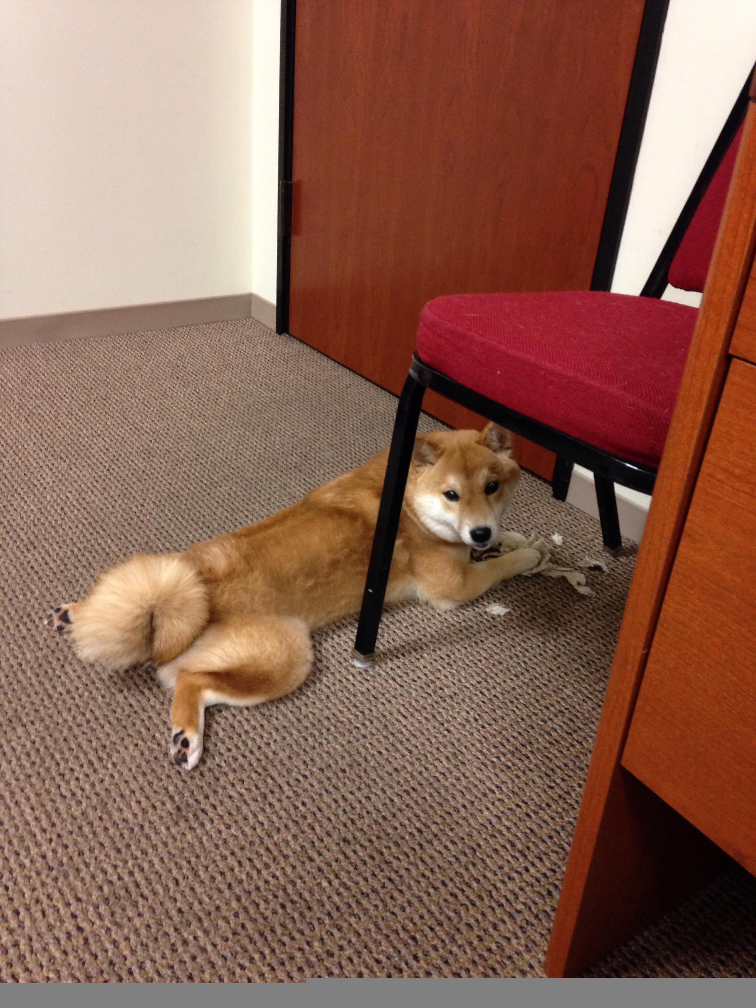 冰与火的碰撞，帕尔默一箭穿云，冰岛足球的寒风吹暖地中海