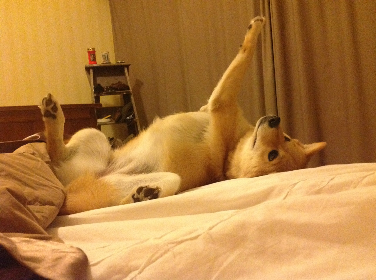 进攻端无人可挡！德布劳内领衔那不勒斯跨界狂胜墨西哥