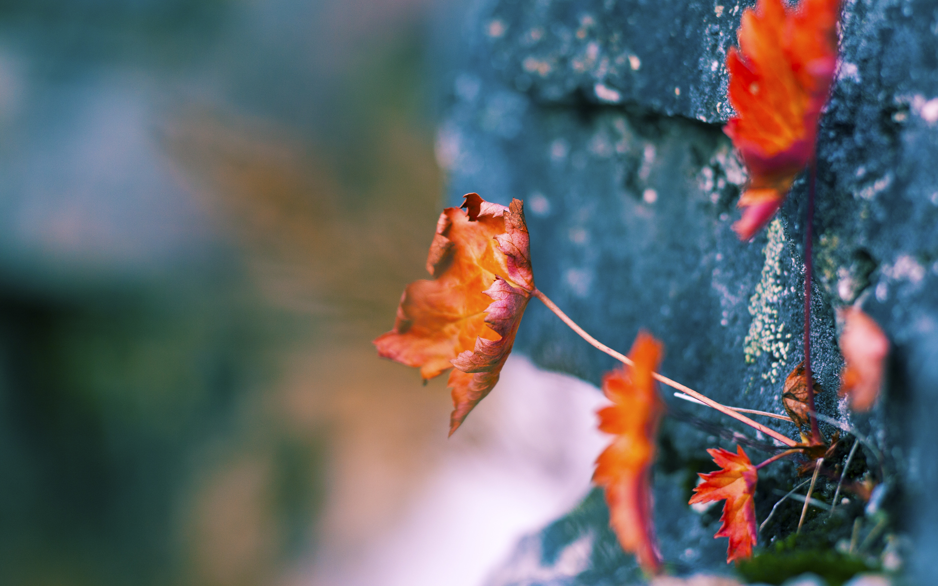 世界排名争夺战白热化,步行者硬仗取胜骑士,焦点战改写东部格局