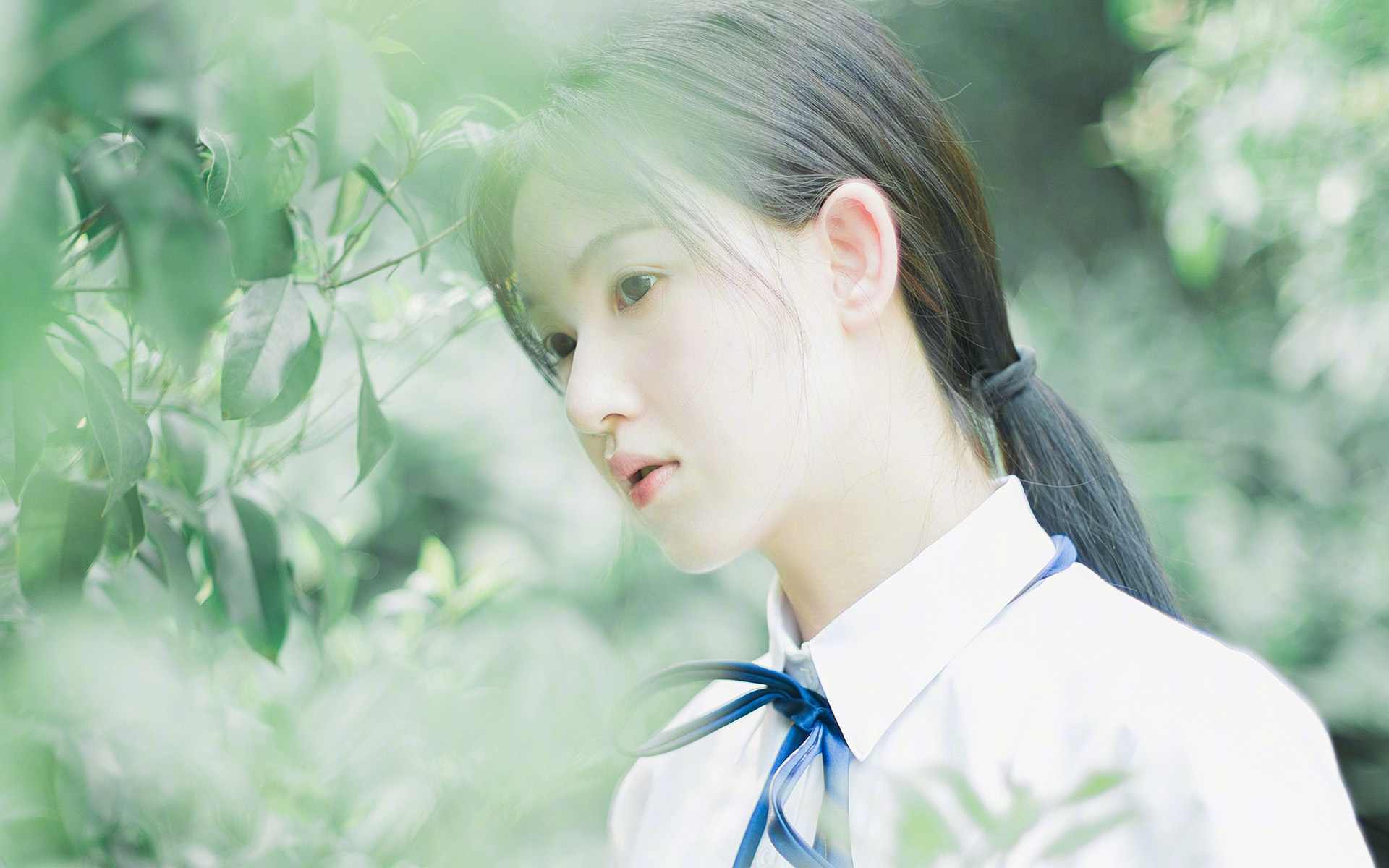 冰与火之歌，马刺的寒流防守与字母哥的烈焰里程碑