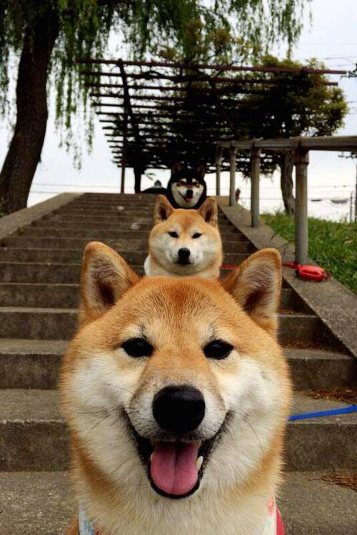 冰封王座，美加墨寒夜中，C罗以不朽姿态冻结时间