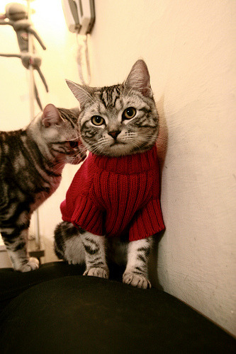 中场错频，库里在平行赛场如何重构雄鹿vs快船的命运齿轮