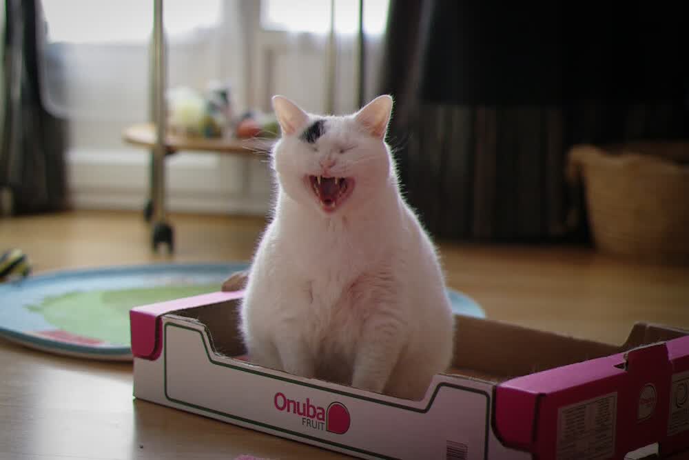 锁与钥匙，摩洛哥铁壁与卡瓦哈尔孤刃的唯一性辩证