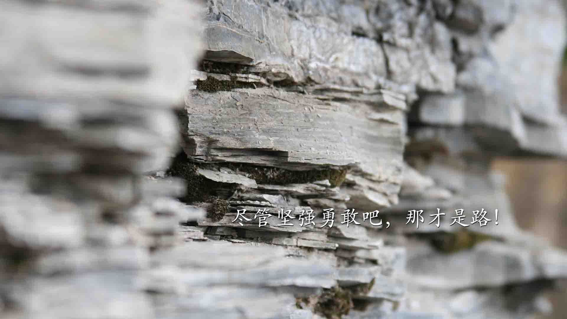 节奏战争，罗德里式的掌控与威尔士式的颠覆—秘鲁爆冷背后的中场博弈