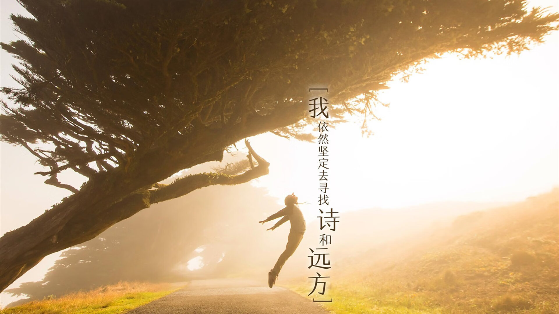 红与白的悖论，当卡瓦哈尔的怒火点燃阿森纳的绝境，一支斗牛士用马竞的方式杀死马竞