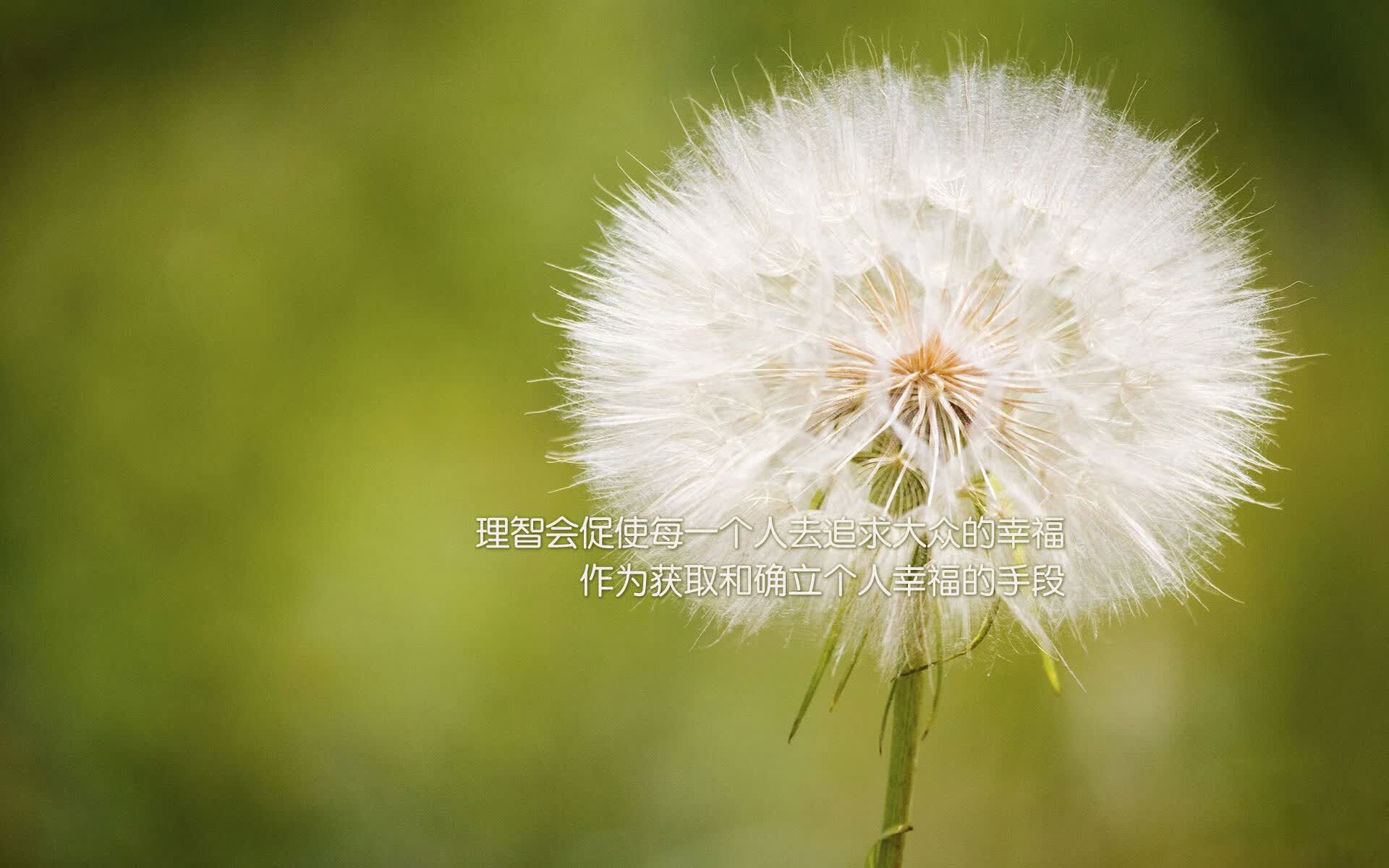 沙漠之夜的孤勇者,2026世界杯A组关键战,库尔图瓦钢铁防线力保澳大利亚碾碎厄瓜多尔