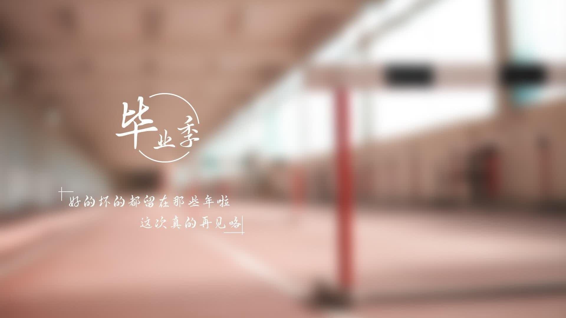 蓝衣军团的黄昏,当范戴克在2026世界杯D组封死了意大利的文艺复兴