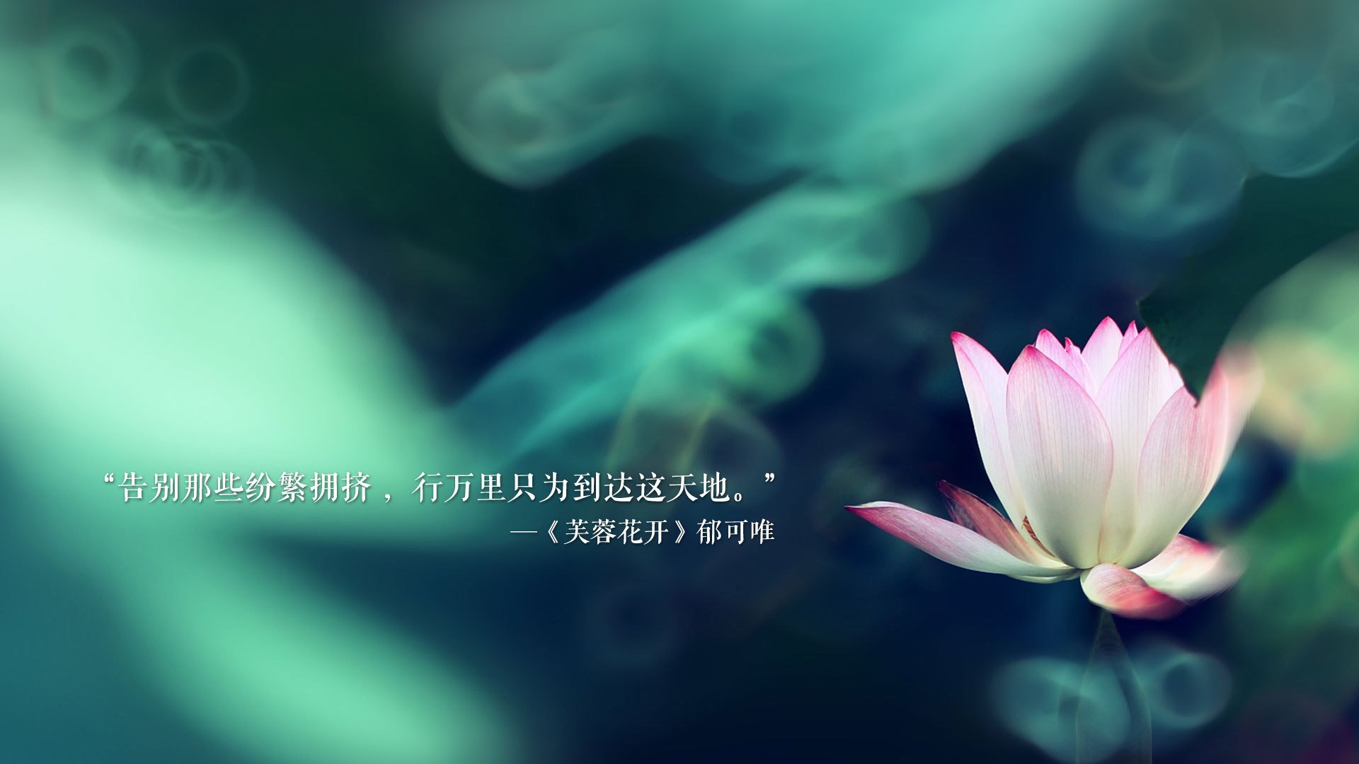 唯一之击，2026世界杯八分之一决赛，斯洛伐克碾压印度，萨内完成致命一击