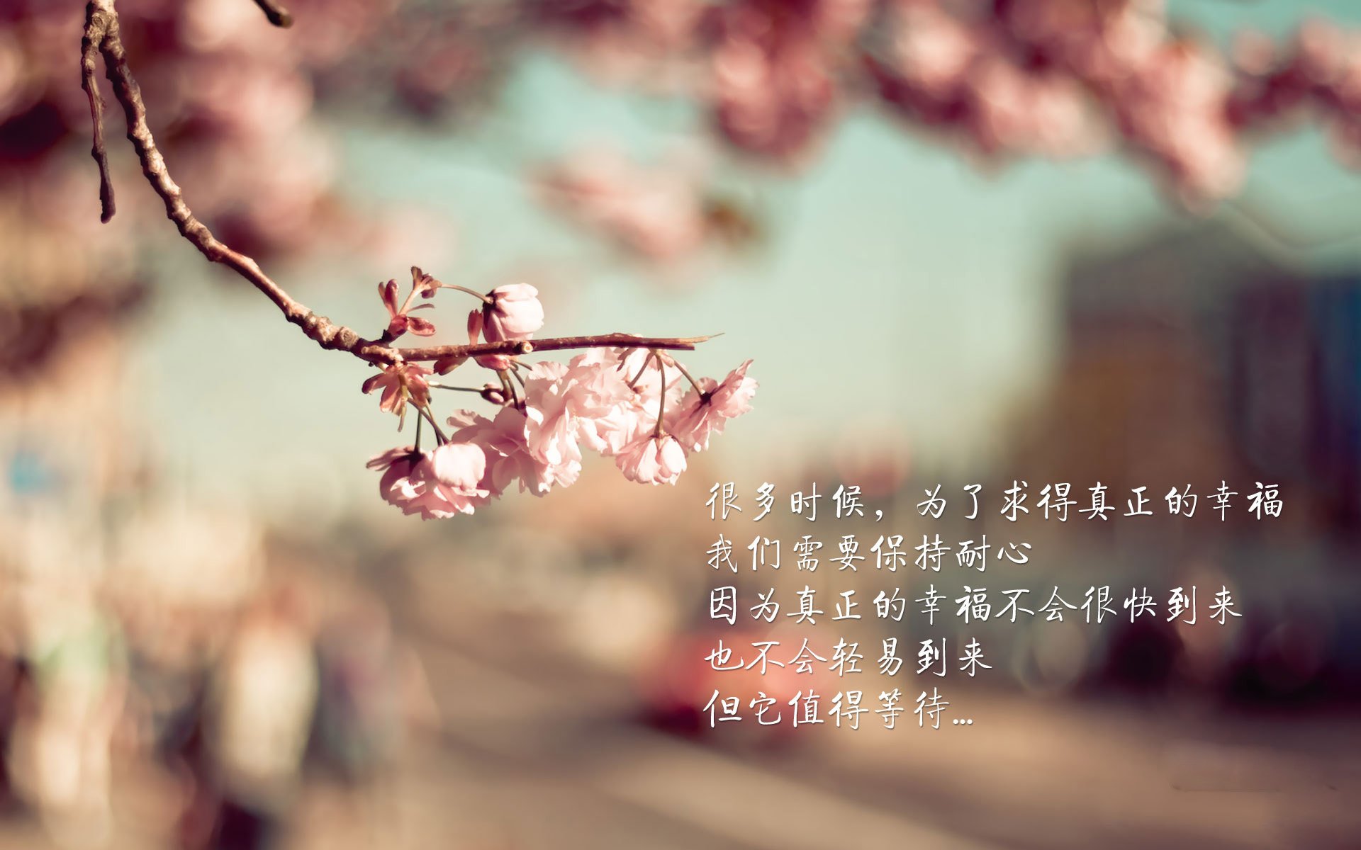 北欧风暴席卷东方，芬兰击溃泰国，莱万独舞B组死亡之组唯一盛宴