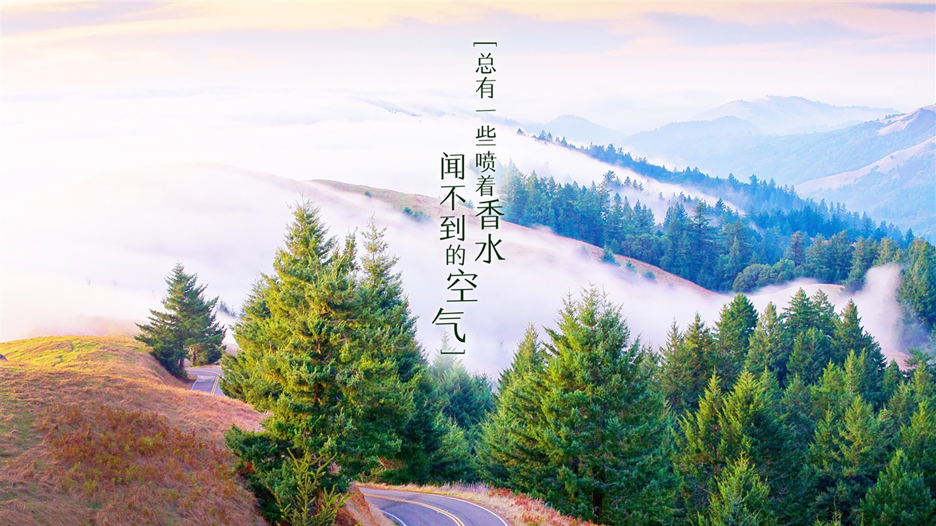 沙漠玫瑰绽放绿茵，巴雷拉导演奇迹逆转，突尼斯撕裂葡萄牙黄金一代的午夜幻梦